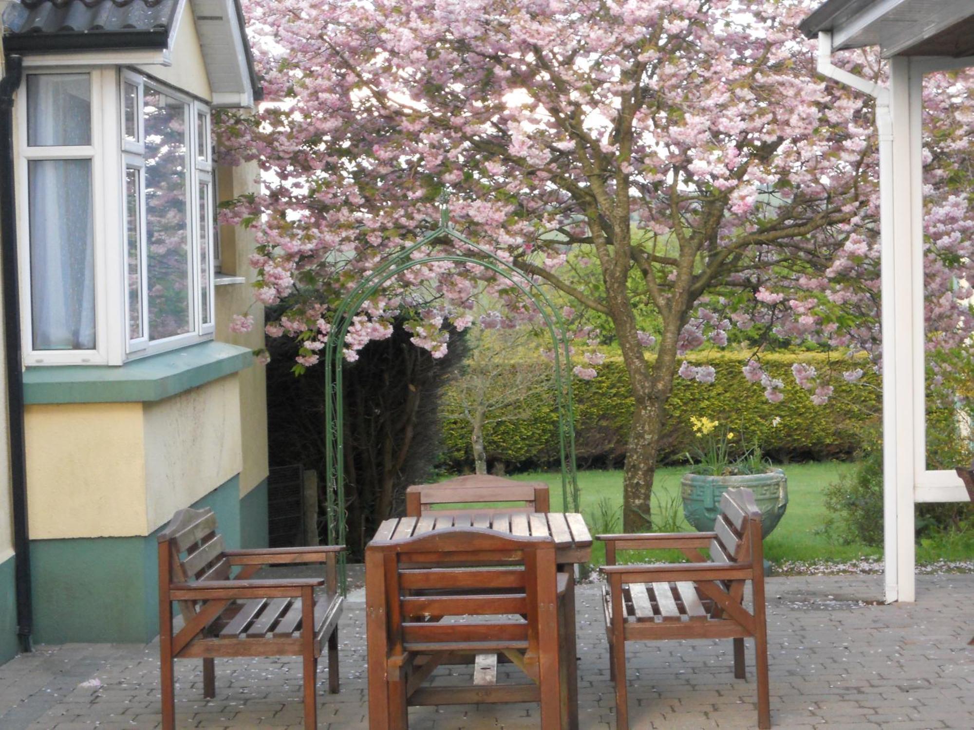 Rhu Glenn Hotel Waterford Exterior photo